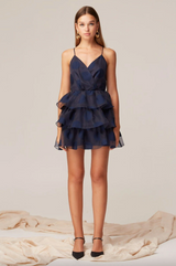 Alibi Mini Dress