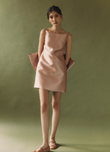 Large Back Bow Mini Dress