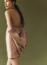 Large Back Bow Mini Dress