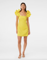 Mackenzie Ruffle Sleeve Mini Dress