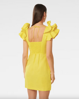 Mackenzie Ruffle Sleeve Mini Dress