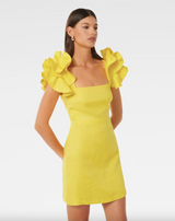 Mackenzie Ruffle Sleeve Mini Dress