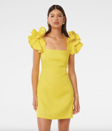 Mackenzie Ruffle Sleeve Mini Dress
