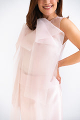 Organza Top and Skirt Set