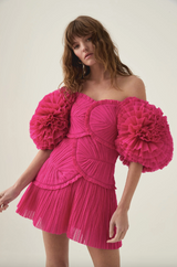 Crystallise Pleated Mini Dress