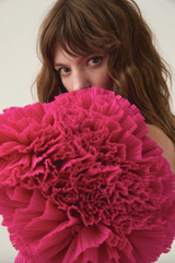 Crystallise Pleated Mini Dress