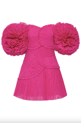 Crystallise Pleated Mini Dress